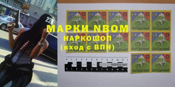a pvp Щигры