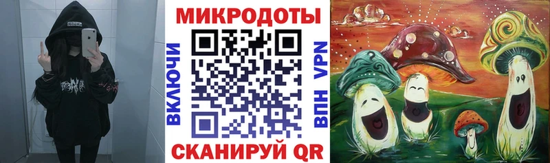 Галлюциногенные грибы мухоморы  где купить наркоту  МЕГА ONION  Гаврилов Посад 